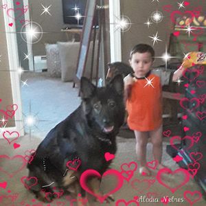 Meet your Posher, Joanne